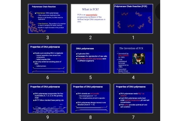 پاورپوینت Polymerase Chain Reaction (PCR)