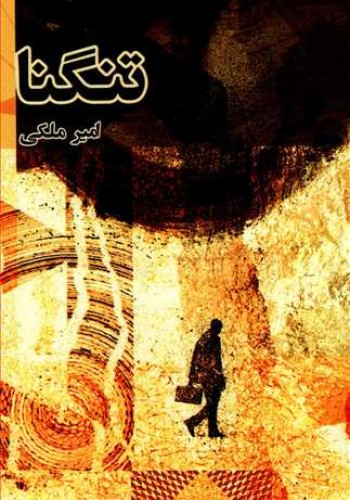 تنگنا امیرملکی