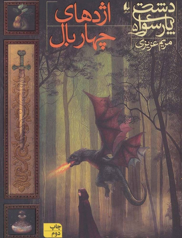 دشت پارسوا 5 - مریم عزیزی