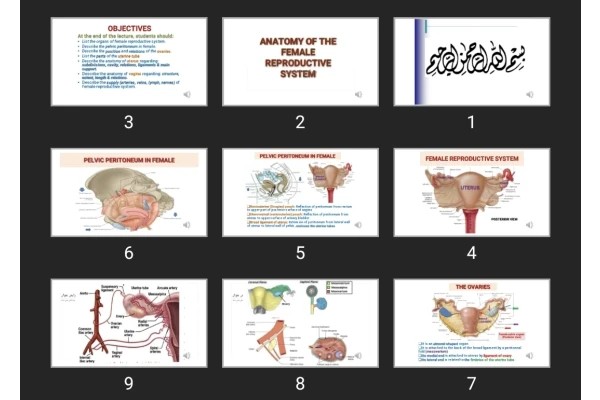 پاورپوینت ANATOMY OF THE FEMALE REPRODUCTIVE SYSTEM