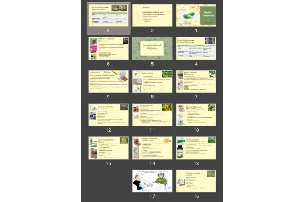 پاورپوینت Herbal Medicines