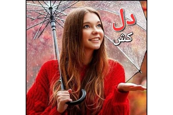 رمان دلکش