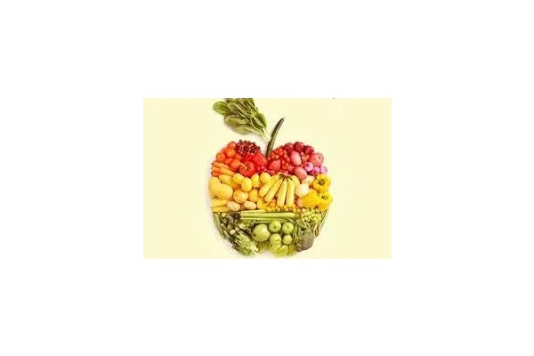 جزوه اصول تغذیه