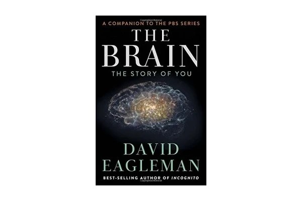 The Brain: The Story of You