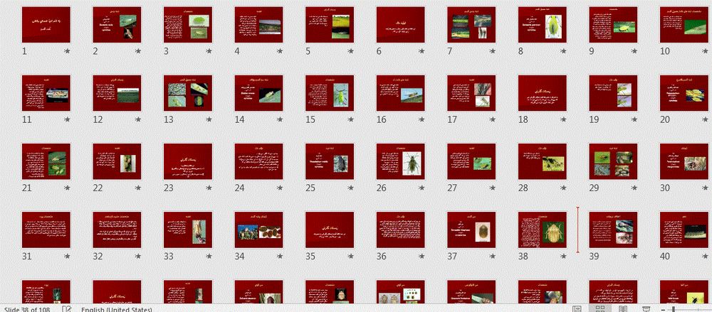 پاورپوینت آفات گندم
