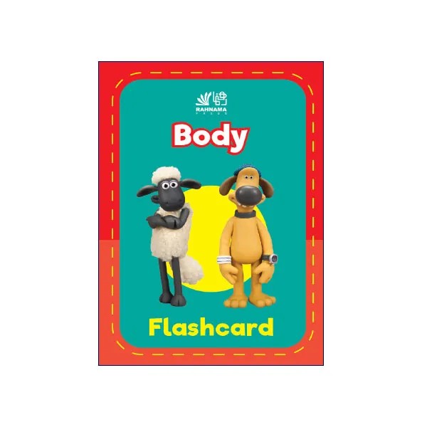 Body Flashcard