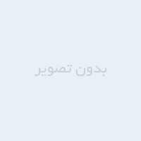 دانلود حل المسایل Theory and Analysis of Elastic Plates and Shells نوشته ردی