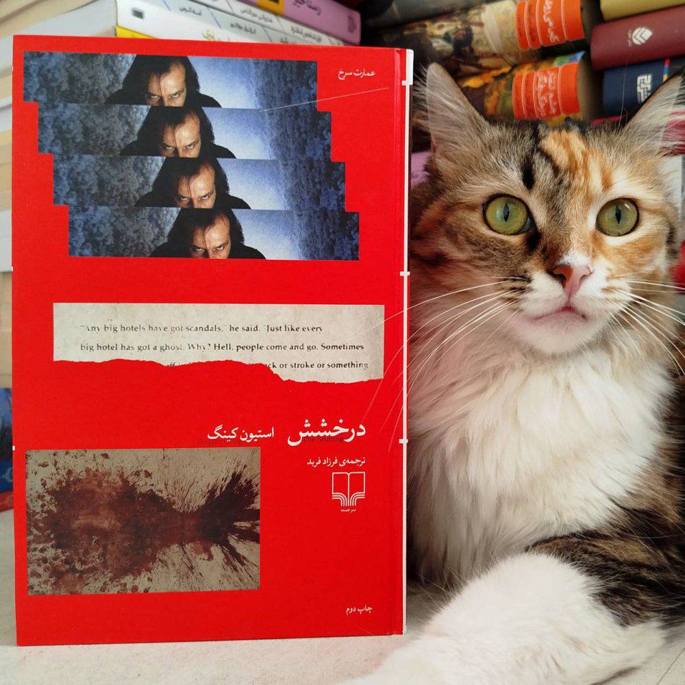 درخشش ، استیون کینگ
