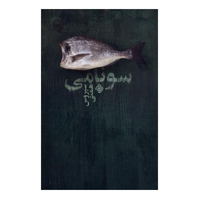 کتاب سونامی اثر سیروس همتی انتشارات نیستان