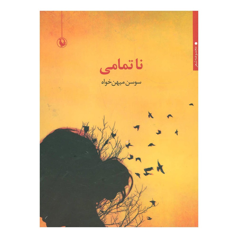 کتاب ناتمامی اثر سوسن میهن خواه انتشارات مروارید