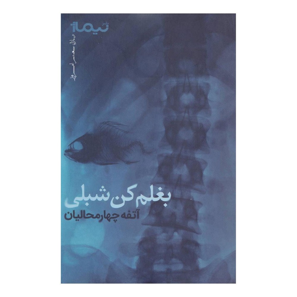 کتاب بغلم کن شبلی اثر آتفه چهارمحالیان انتشارات نیماژ
