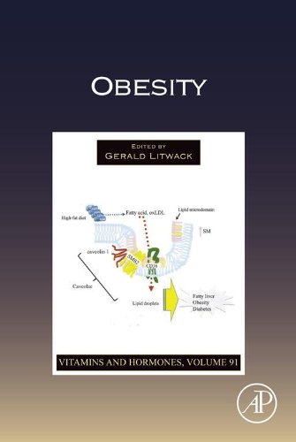 چاقی ۲۰۱۳ <br> Obesity 2013 - کالیبو