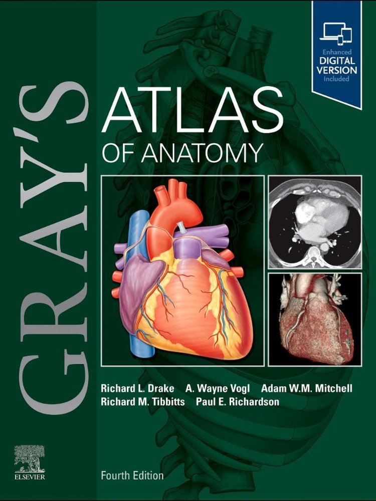 Gray's Atlas of Anatomy 2026