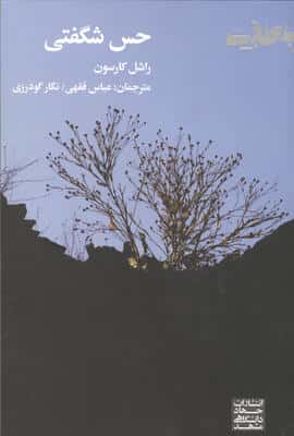 حس شگفتی (شمیز،رقعی،جهاد دانشگاهی مشهد)