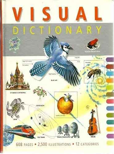Visual Dictionary by Jane Flew اورجینال