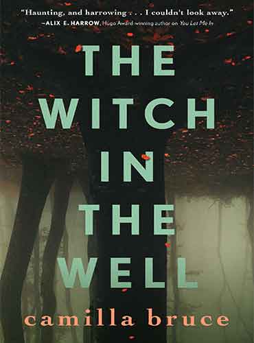 The Witch In The Well by Camilla Bruce