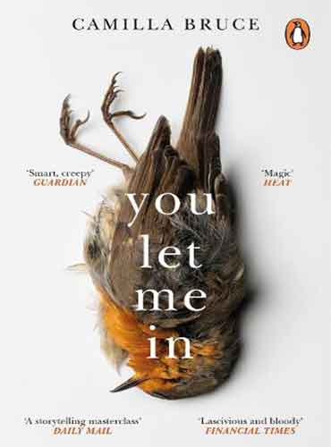 You Let Me In by Camilla Bruce