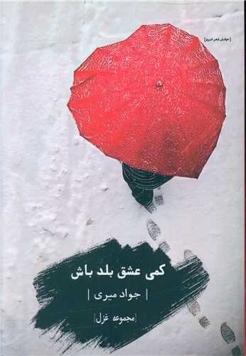 کمی عشق بلد باش