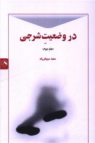 در وضعیت شرجی (جلد دوم)