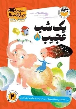 یک شب عجیب