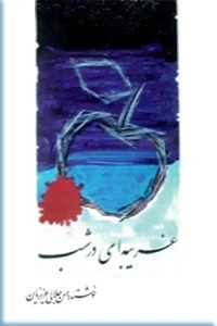 غریبه ای در شب