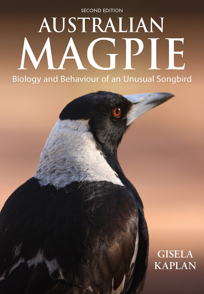 زاغی استرالیایی ۲۰۱۹ <br> Australian Magpie 2019 - کالیبو