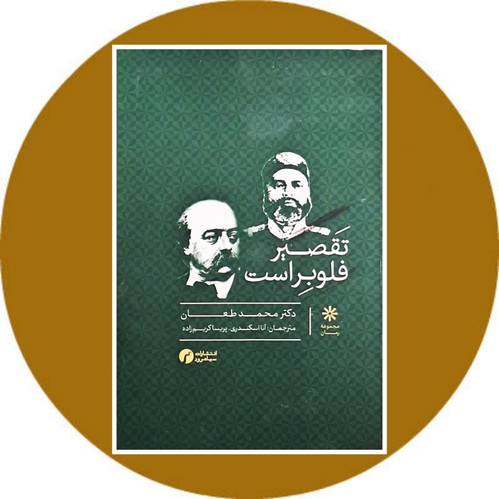 تقصیر فلوبر است