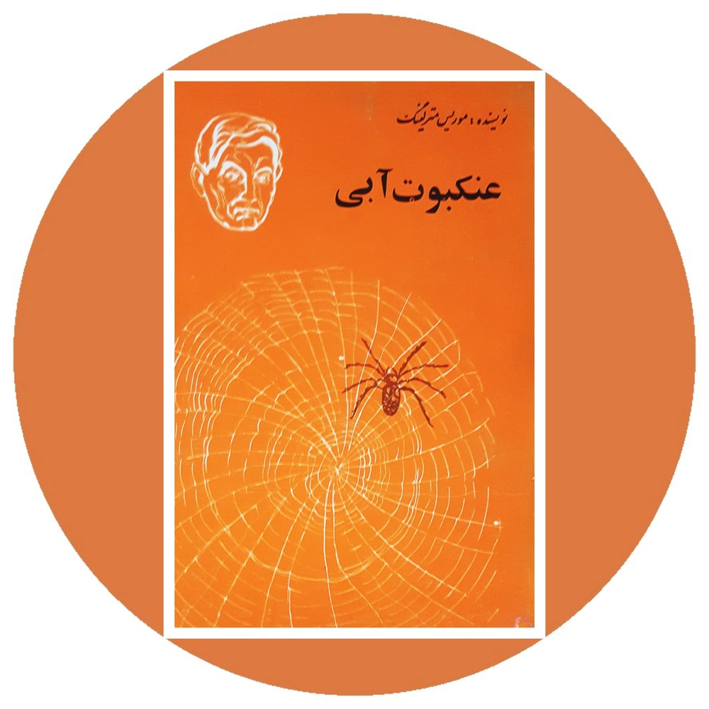 عنکبوت آبی