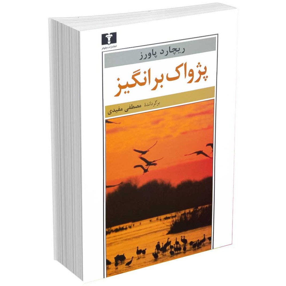 پژواک برانگیز