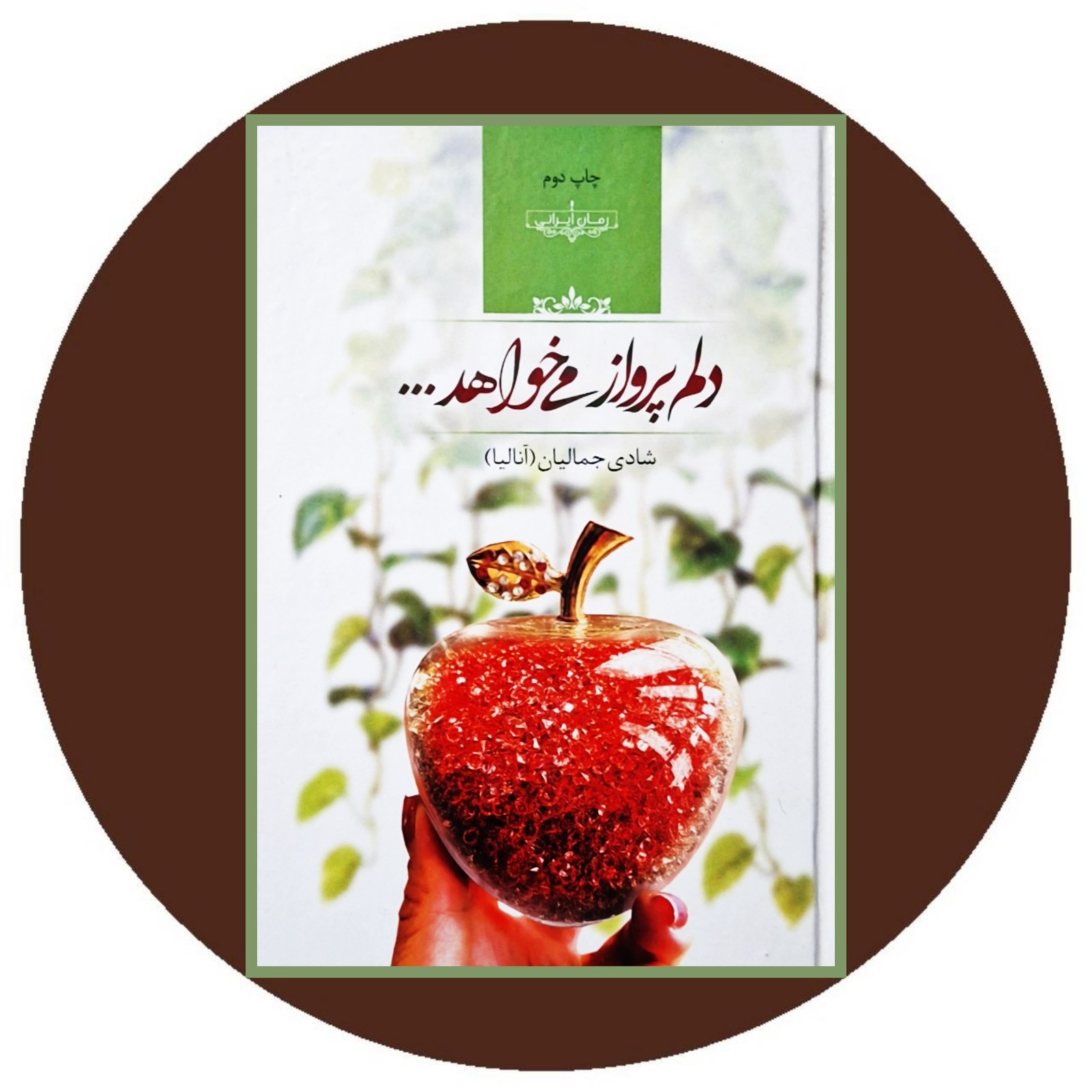 دلم پرواز می خواهد
