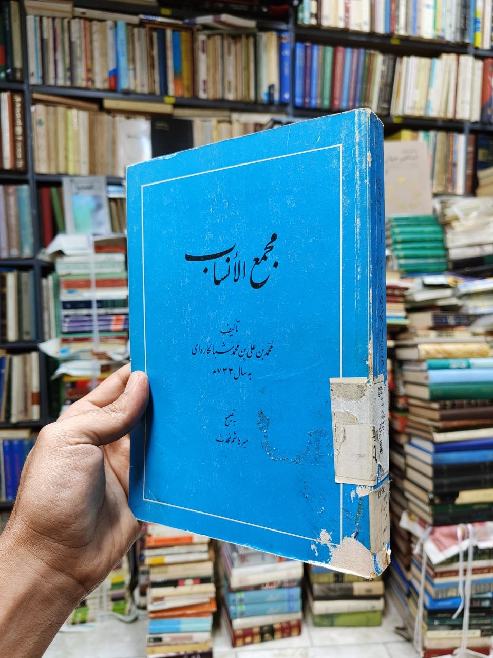 مجمع الانساب