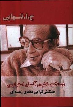 دستگاه نظری آنسلم استراوس /بزنگاه