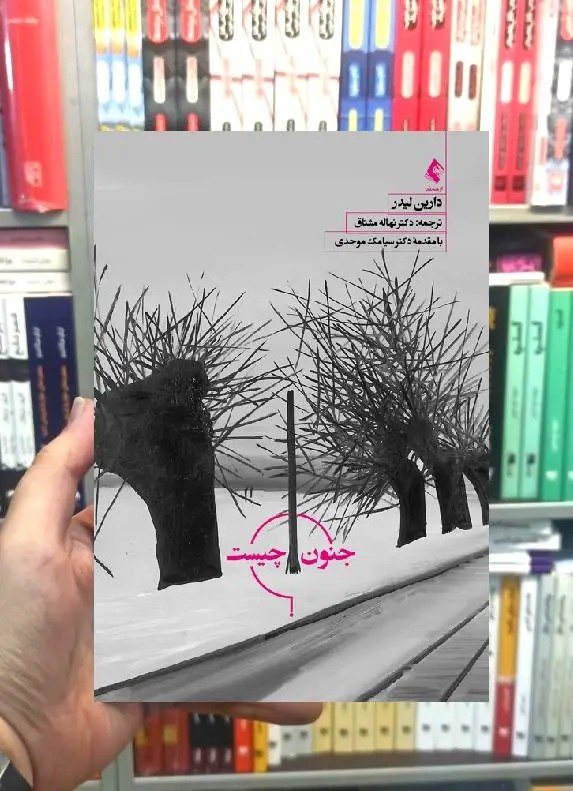 جنون چیست دارین لیدر ارجمند