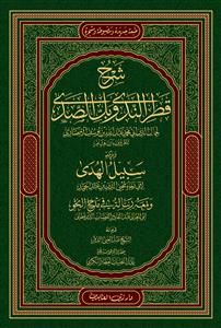 کتاب شرح قطر الندى و بل الصدى