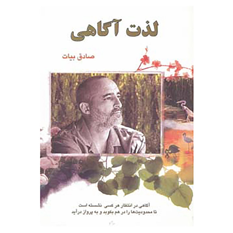 کتاب لذت آگاهی اثر صادق بیات