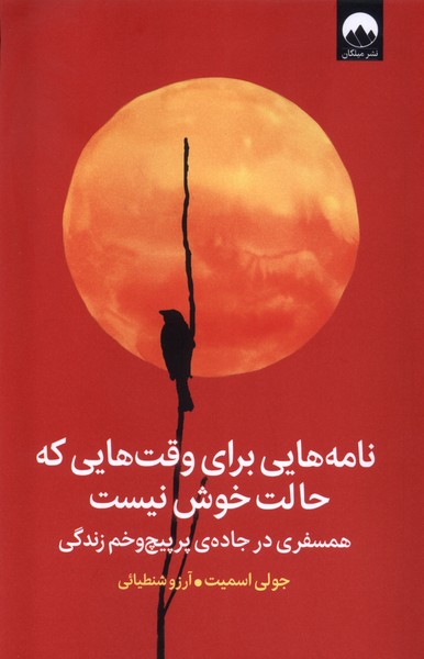 کتاب نامه هایی برای وقت هایی که حالت خوش نیست اثر جولی اسمیت 1404