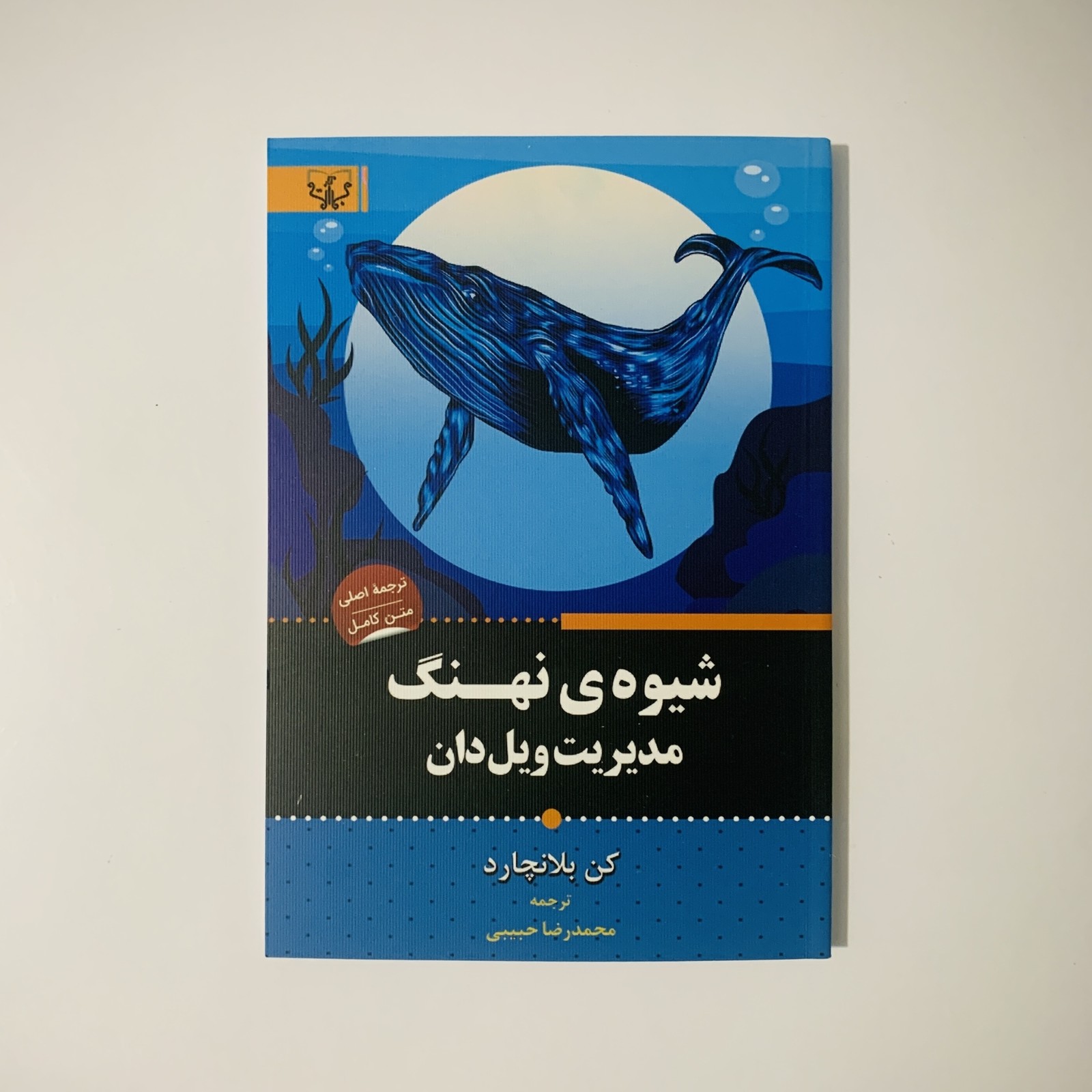 شیوه نهنگ مدیریت ویل دان