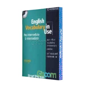 english vocabulary in use