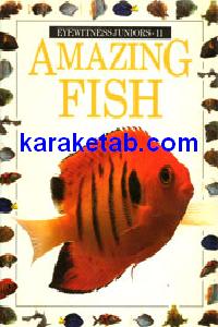 AMAZING FISH