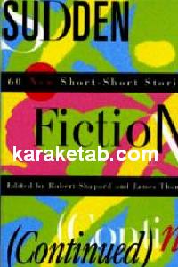 Sudden Fiction Continued