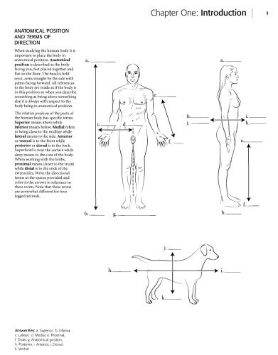 دانلود کتاب Anatomy coloring book