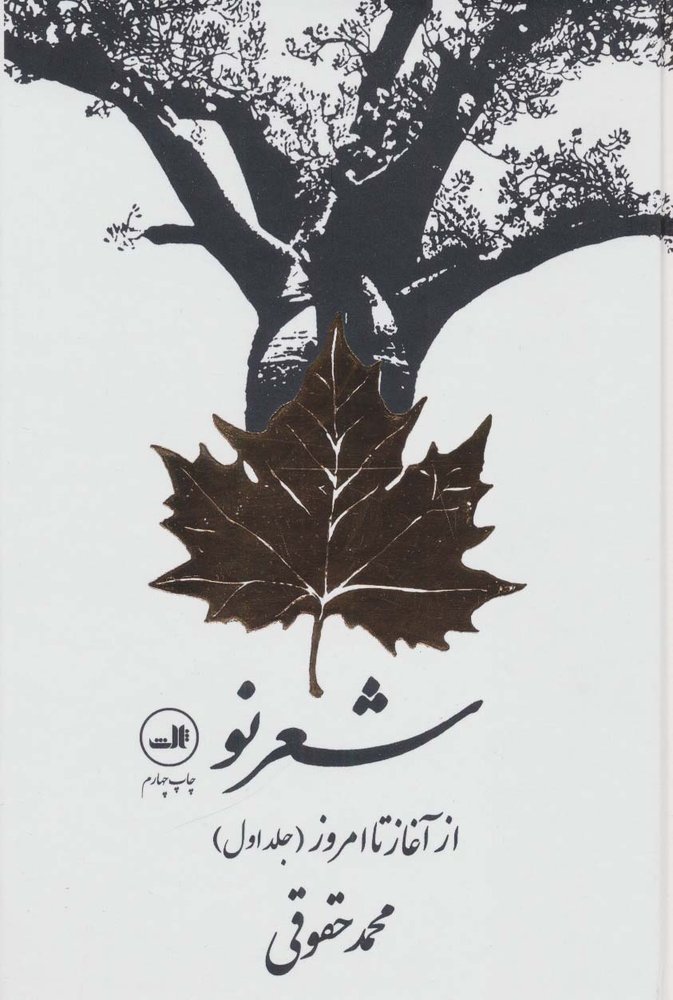 شعر نو از آغاز تا امروز (2جلدی)