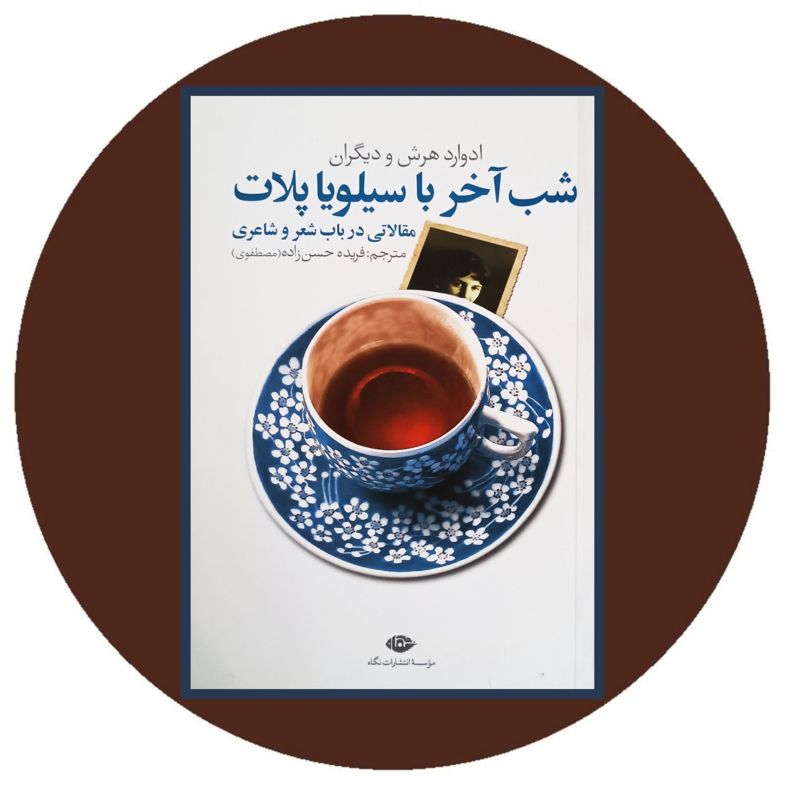 شب آخر با سیلویا پلات