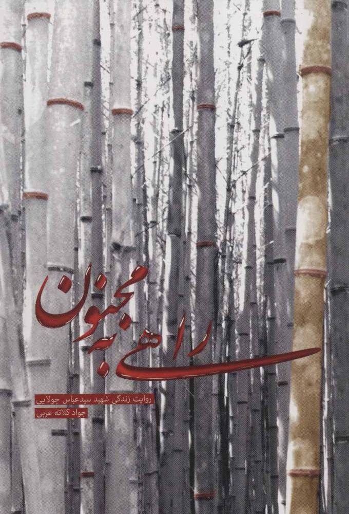 کتاب راهی به مجنون