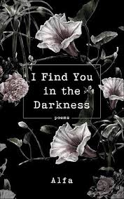I Find You in the Darkness