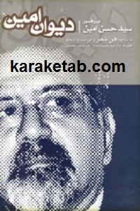 دیوان امین