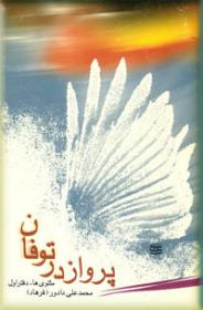 پرواز در توفان
