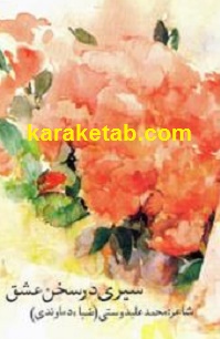 سیری در سخن عشق