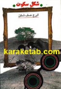 شکل سکوت