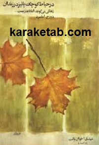 در حیاط کوچک پاییز در زندان